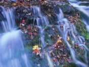 Tim Fitzharris - Laurel Creek cascades, Great Smoky Mountains National Park, Tennessee