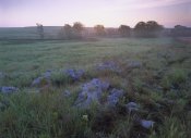 Tim Fitzharris - Misty morning over prairie, Tallgrass Prairie National Preserve, Kansas