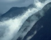 Tim Fitzharris - Mist rising in the Cascade Mountains near Hope, British Columbia, Canada