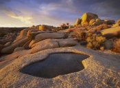 Tim Fitzharris - Water that has collected in boulder, Joshua Tree National Park, California