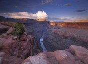 Tim Fitzharris - Colorado River from Toroweap Overlook, Grand Canyon National Park, Arizona