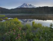 Tim Fitzharris - Mount Rainier and Reflection Lake, Mount Rainier National Park, Washington