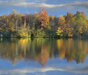 Tim Fitzharris - Deciduous forest in autumn along Price Lake, Blue Ridge Parkway, North Carolina