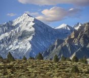 Tim Fitzharris - Mount Tom, Sierra Nevada, John Muir Wilderness, Inyo National Forest, California