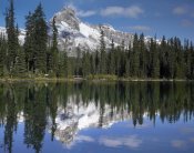 Tim Fitzharris - Wiwaxy Peaks and Cathedral Mountain at Lake O'Hara, Yoho National Park, British Columbia, Canada