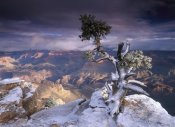 Tim Fitzharris - South Rim of Grand Canyon with a dusting of snow seen from Yaki Point, Grand Canyon National Park, Arizona