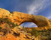 Tim Fitzharris - Wilson Arch with a span of 91 feet and height of 46 feet, made of entrada sandstone, Utah