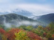 Tim Fitzharris - Broadleaf forest in fall colors, Skyline Drive, Shenandoah National Park, Virginia