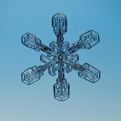 Steve Gettle - Snowflake seen through microscope