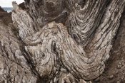 Colin Monteath - Folded limestone layers, Kaikoura, North Canterbury, New Zealand