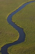 Pete Oxford - Papyrus swamps and channel, aerial view, Africa