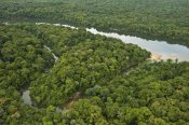 Pete Oxford - Essequibo River, Iwokrama Rainforest Reserve, Guyana
