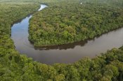 Pete Oxford - Rainforest and Essequibo River, Iwokrama Rainforest Reserve, Guyana