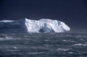 Flip Nicklin - Iceberg near Palmer Peninsula, Antarctica