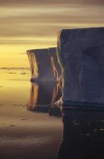 Tui De Roy - Sunrise over tabular icebergs, Antarctica Peninsula, Antarctica