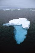 Tui De Roy - Summer pack ice floating in Barents Sea, Norway