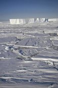 Tui De Roy - Tabular icebergs among broken fast ice, Prince Olav Coast, east Antarctica