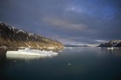 Tui De Roy - Evening light, Svalbard Archipelago, Norway