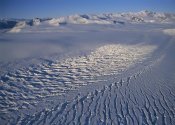 Tui De Roy - Transatlantic Mountains and Campbell Glacier, Ross Sea, Antarctica