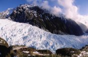 Tui De Roy - Fox Glacier, Westland National Park, New Zealand