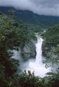 Tui De Roy - San Rafael Falls on the Coca River, Ecuador