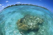 Tui De Roy - Reef seascape, Palmyra Atoll NWR, US Line Islands
