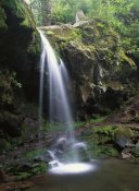 Tim Fitzharris - Grotto Falls and Roaring Fork Motor Nature Trail, Great Smoky Mountains