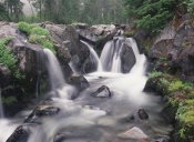Tim Fitzharris - Paradise River cascade, Mt Rainier National Park, Washington