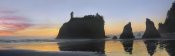 Tim Fitzharris - Abby Island and seastacks at sunset, Ruby Beach, Olympic NP, Washington