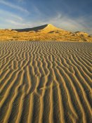 Tim Fitzharris - Wind ripples in Kelso Dunes, Mojave National Preserve, California