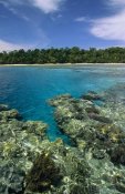 Konrad Wothe - Coral lagoon and palm lined beach, Rani Island, Indonesia