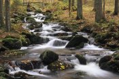 Konrad Wothe - Creek cascading through autumn forest, Bayerischer Wald NP, Germany