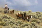 Konrad Wothe - Cowboys herding a Horse group through Sagebrush, Oregon