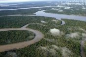 Gerry Ellis - Aerial of tropical rainforest and winding rivers, Kikori Delta, Papua New Guinea