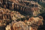 Gerry Ellis - Hoodoos formations from Sunrise Point, Bryce Canyon National Park, Utah