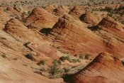 Gerry Ellis - Wind sculpted Colorado sandstone, Paria Canyon, Arizona