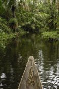 Pete Oxford - Dugout canoe in blackwater stream, Yasuni National Park, Amazonia, Ecuador
