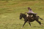 Pete Oxford - Chagra cowboy riding his Horse,  in the Andes Mountains, Ecuador