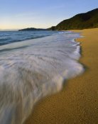 Harley Betts - Waves on Totaranui Beach, Abel Tasman National Park, New Zealand