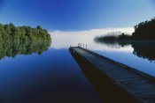 Andy Reisinger - Wood dock reaching out into Lake Mapourika, South Island, New Zealand