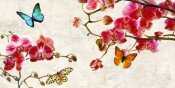 Teo Rizzardi - Orchids & Butterflies