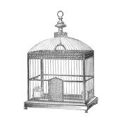 Catalog Illustration - Etchings: Birdcage - Arched top, filigree detail.
