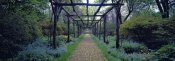 Richard Berenholtz - Garden path, Old Westbury Gardens, Long Island