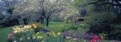 Richard Berenholtz - Country garden, Old Westbury Gardens, Long Island