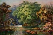Ernst Haeckel - Riesenbambus von Ceylon Fahrt auf dem Schwarzen Fluß 