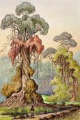 Ernst Haeckel - Lianen-Mäntel an Säulenbäumen Hochland von Ceylon