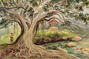 Ernst Haeckel - Gummibaum auf Java Ficus elastica in Buitenzorg