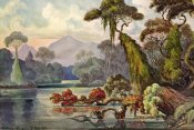 Ernst Haeckel - Urwald am Blauen Fluß Kelany-Ganga, Ceylon