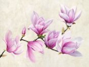 Luca Villa - Ramo di magnolia