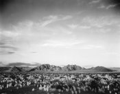 Ansel Adams - Distant mountains: desert and shrubs in foreground near Death Valley National Monument, California - National Parks and Monuments, 1941
